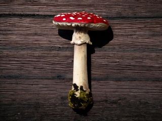 Set 4 Figuras Setas Realistas Amanita Muscaria