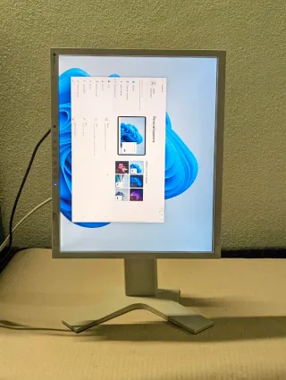 Eizo FlexScan S1901 19" Monitor VGA DVI