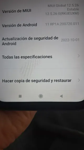 Xiaomi Redmi 10 Azul plateado