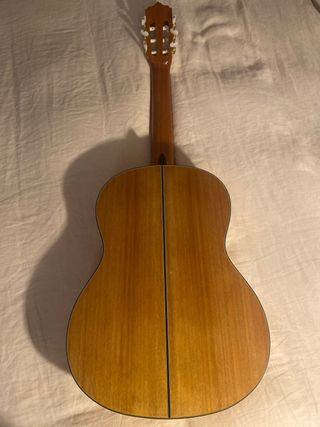 Guitarra Clásica/Flamenca