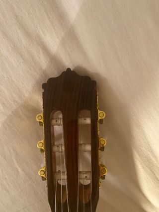 Guitarra Clásica/Flamenca