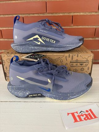 Zapatillas Nike Trail Reactx Pegasus 5 Gore-Tex