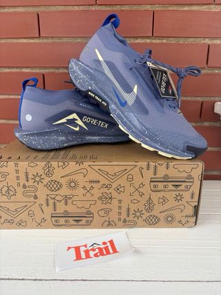 Zapatillas Nike Trail Reactx Pegasus 5 Gore-Tex