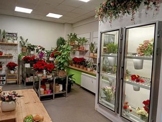 Local comercial en alquiler en Centro en Valladolid