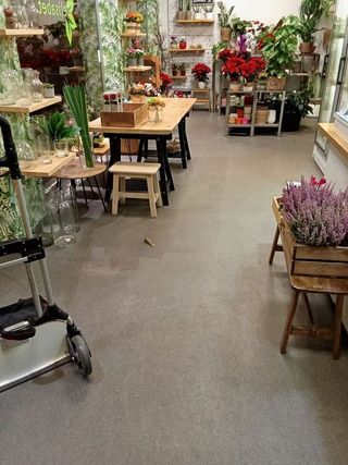 Local comercial en alquiler en Centro en Valladolid