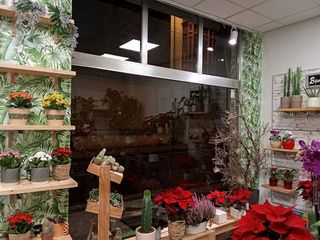 Local comercial en alquiler en Centro en Valladolid