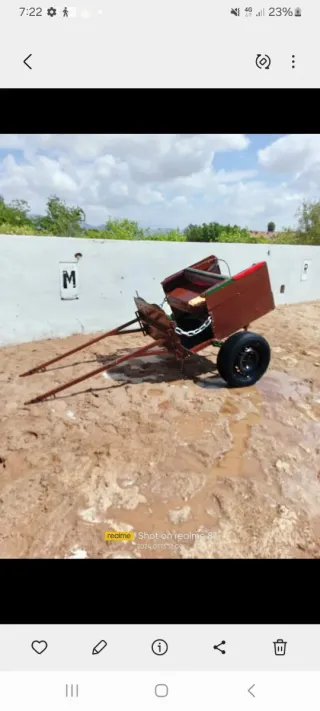 Carruaje para pony y caballo pequeño