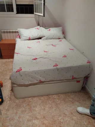 Canapé, Colchón y Almohada Flamencos