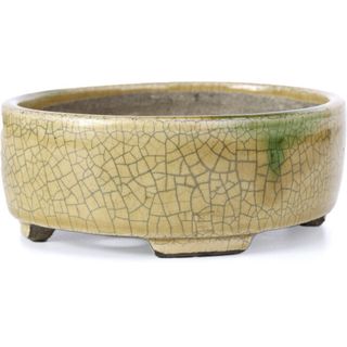 Maceta Bonsái Terahata Satomi