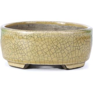 Maceta Bonsái Terahata Satomi