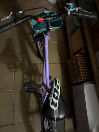 Bicicleta infantil morada