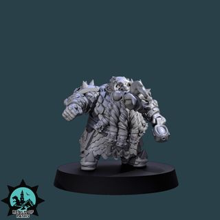 Equipo Enanos del Caos - Fire Mechanics Blood Bowl