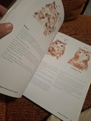 Acuarela. Obras maestras en 15 minutos