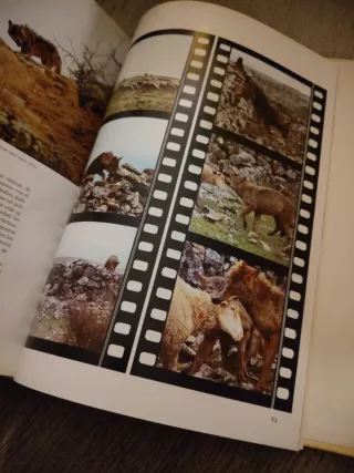 Libro el lobo de felix Rodríguez de la fuente