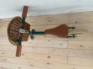 Bicicleta de equilibrio Banwood