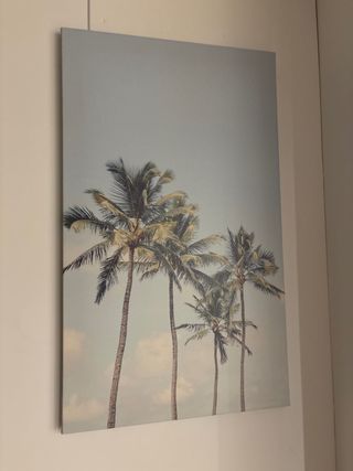 Cuadro Decorativo Palmeras