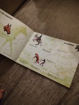 Álbum Cromos El Mundo de Furia Caballos