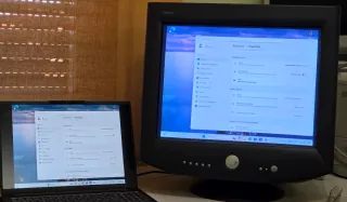Monitor Dell P1130 Trinitron