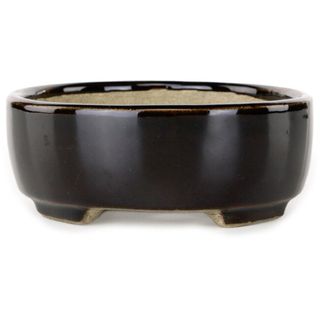 Maceta Bonsái Terahata Satomi Cerámica