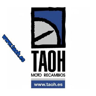 Silencioso Izquierdo Suzuki GSX-R 1000 Micron