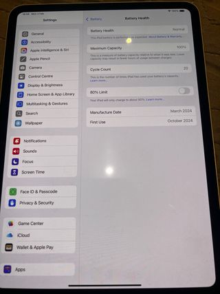 iPad Pro 11 256GB Plata + Apple Pencil