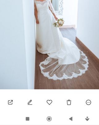 Vestido de Novia Pronovias + Velo
