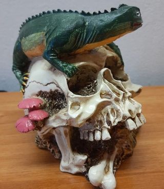 Statua teschio con lucertola decorativa