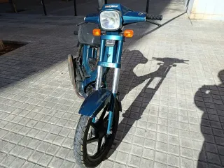 Derbi variant