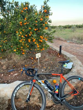 Bicicletta da strada Felt