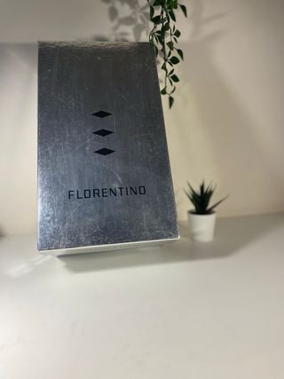 Zapatos Florentino Plateadas