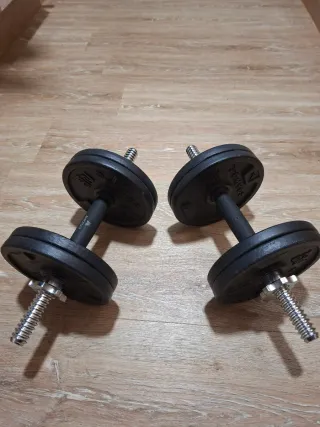 Mancuernas 16kg (8kg cada una)