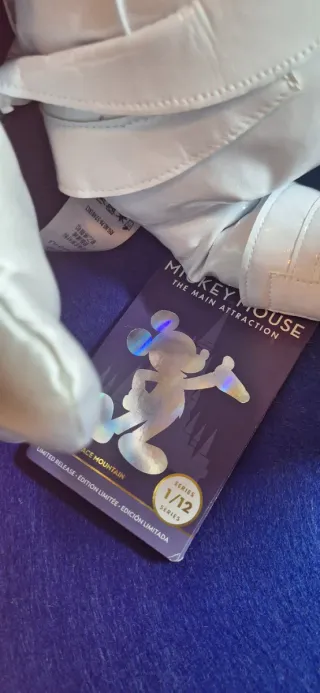 Mickey y Minnie Main Attraction Space Mountain