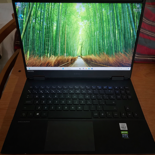 HP OMEN 15 Gaming Laptop i7 32GB RAM RTX 2060