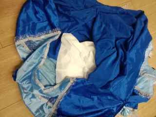 Disfraz Brigueston Azul