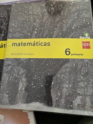 Libros matemáticas 6 primaria  en buen estado