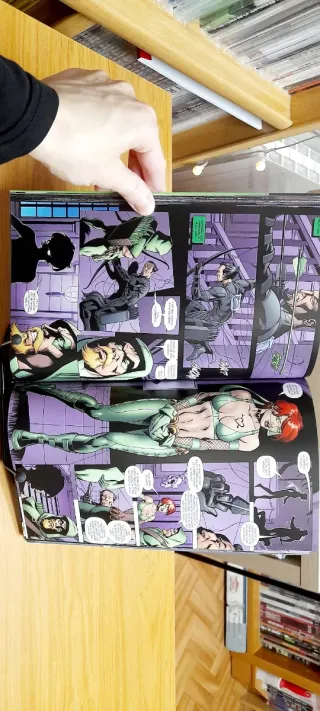 Green Arrow y Canario Negro tomos 1-2