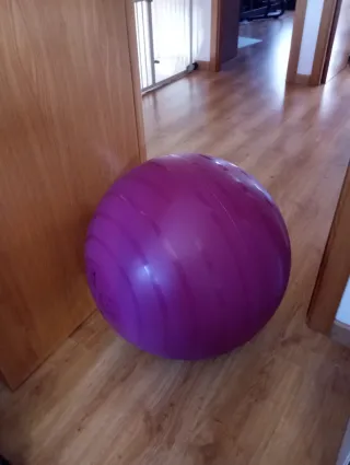 Pelota de Pilates Morada