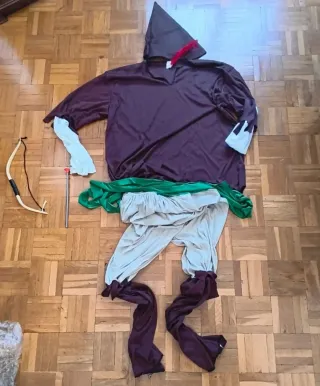 Disfraz Robin Hood Talla Única