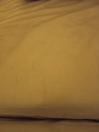 9 derechos de ayuda pago básico sin tierra