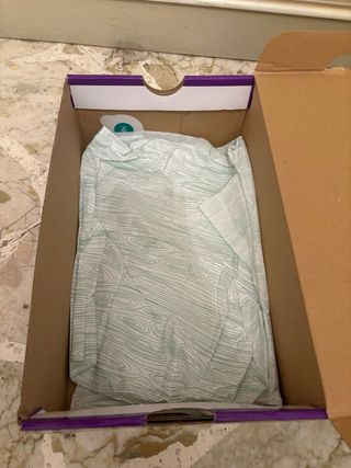 Nike Dunk Low SB Viola