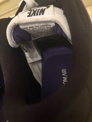 Nike Dunk Low SB Viola