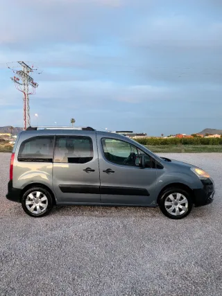 Citroen Berlingo 2009