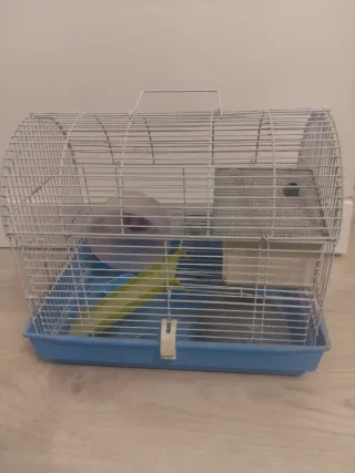 Jaula para hámster