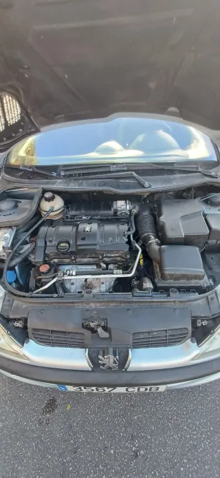 Peugeot 206 2004