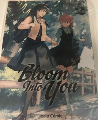 Bloom Into You