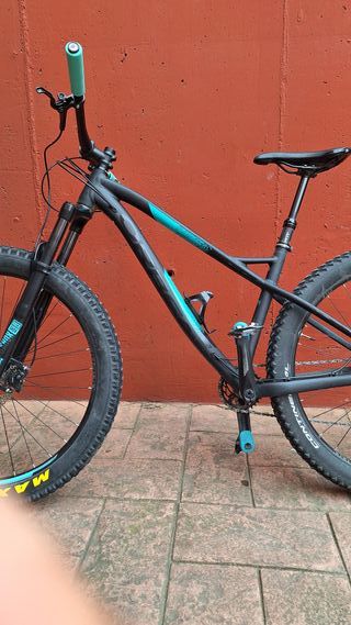 Bicicleta Orbea Laufey