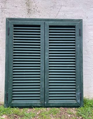 Persianas de aluminio verdes