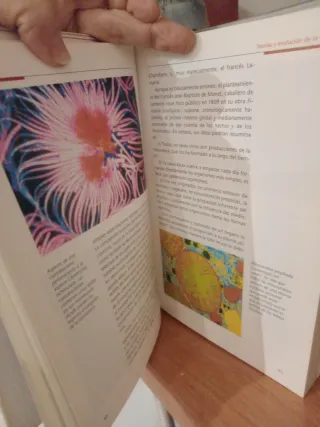 Tomos de historia universal