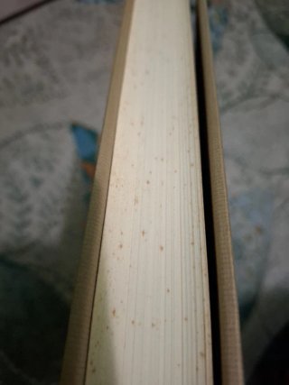 Lope de Vega Prosa