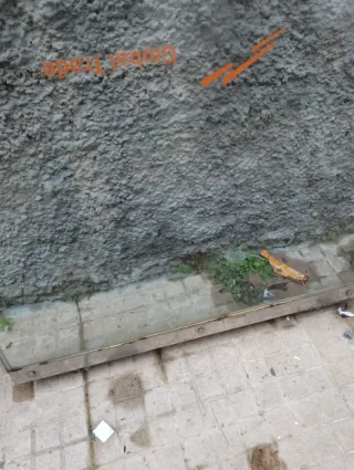 2 Cristales seguridad MEDIDAS: 2,33x96cm Grueso: